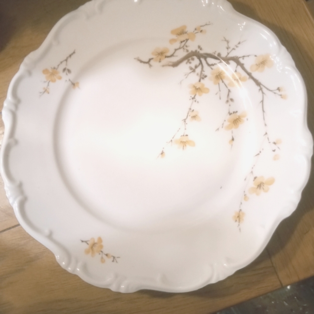 Hertel Jacob fine Bone China service for 12